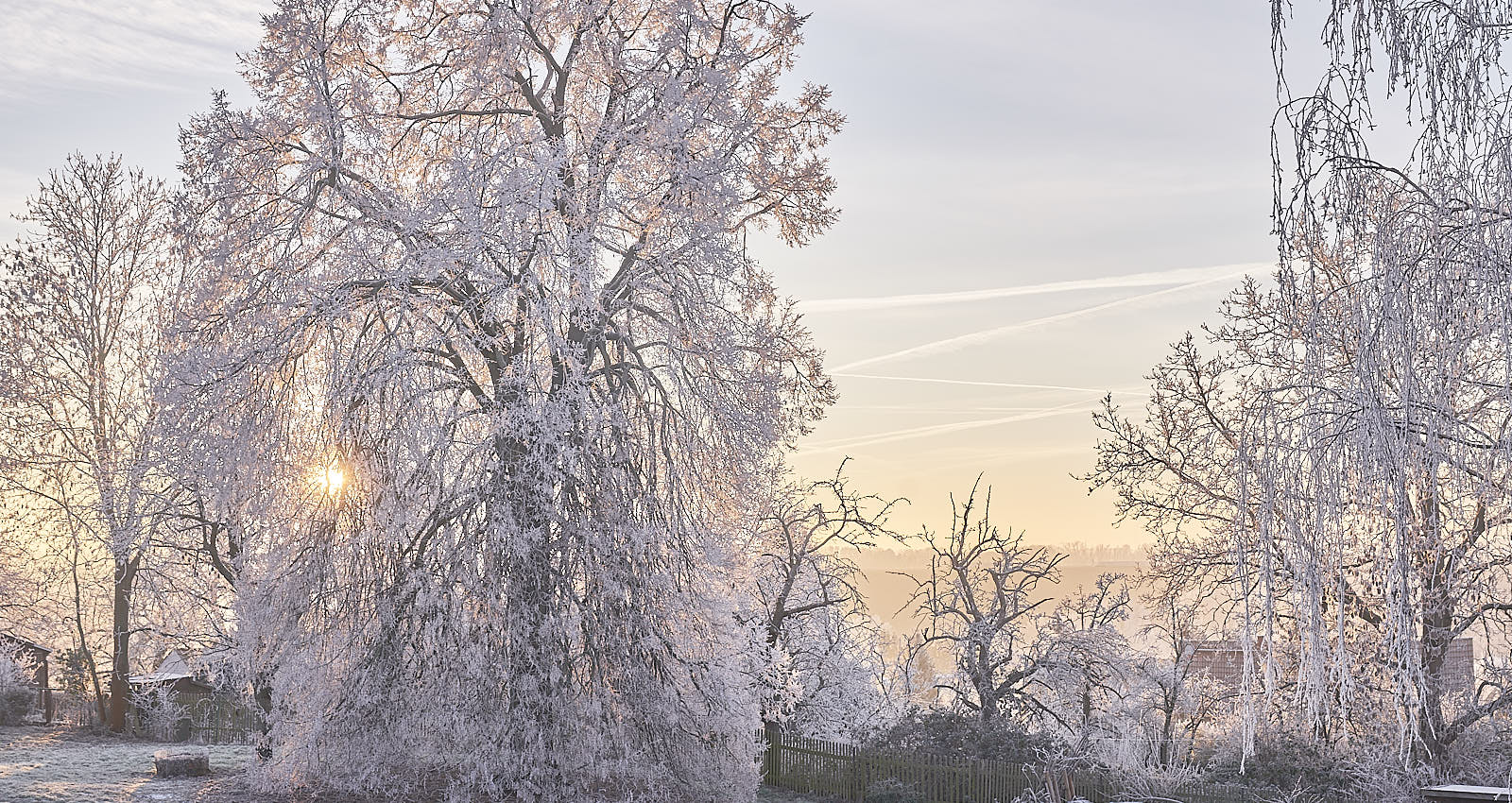frostiger Wintermorgen