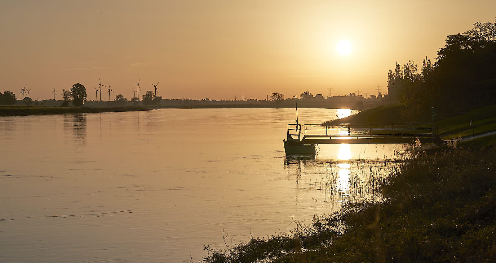 Morgenstimmung an der Elbe bei Riesa