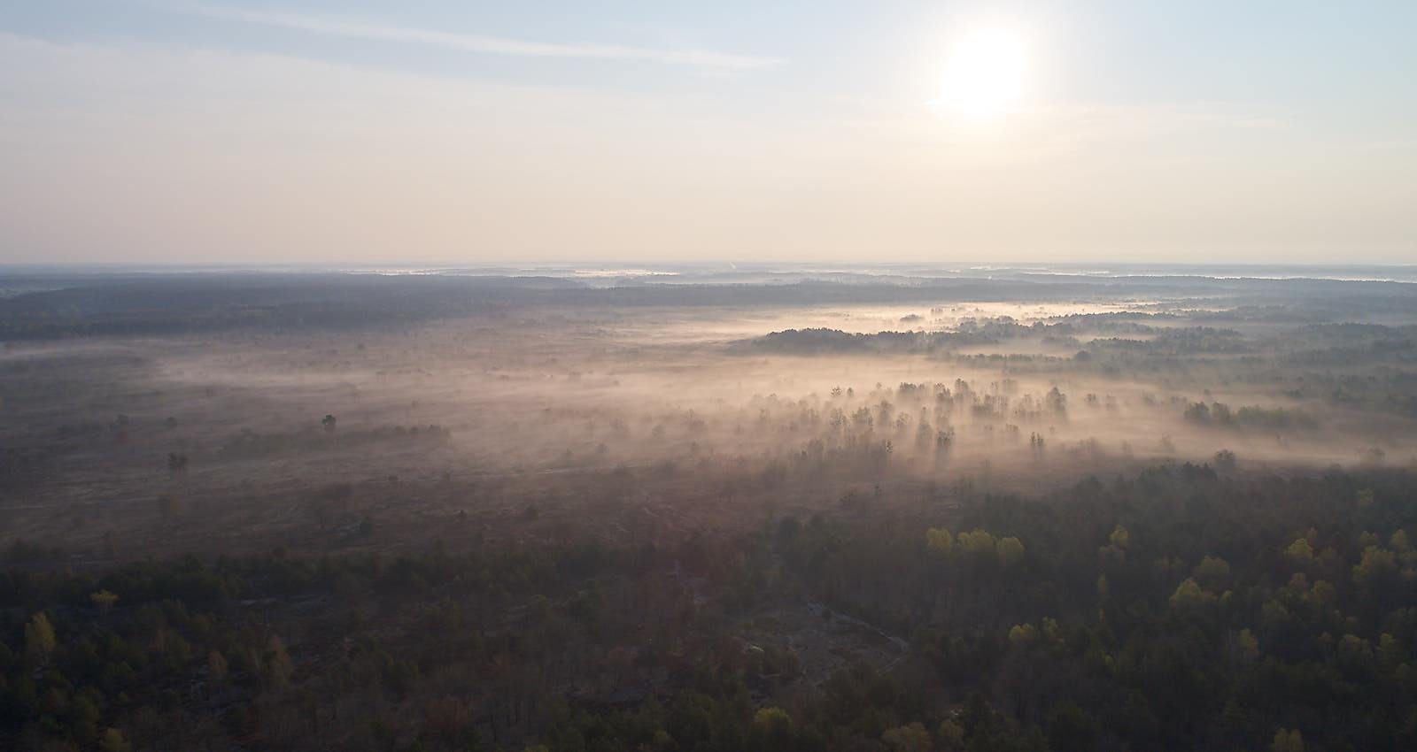 Eine weite Landschaft, in der Ferne blitzen Seen hervor: Canada? USA? Die Тайга/Taiga?