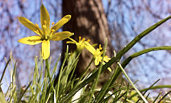 Frühlingsbilder