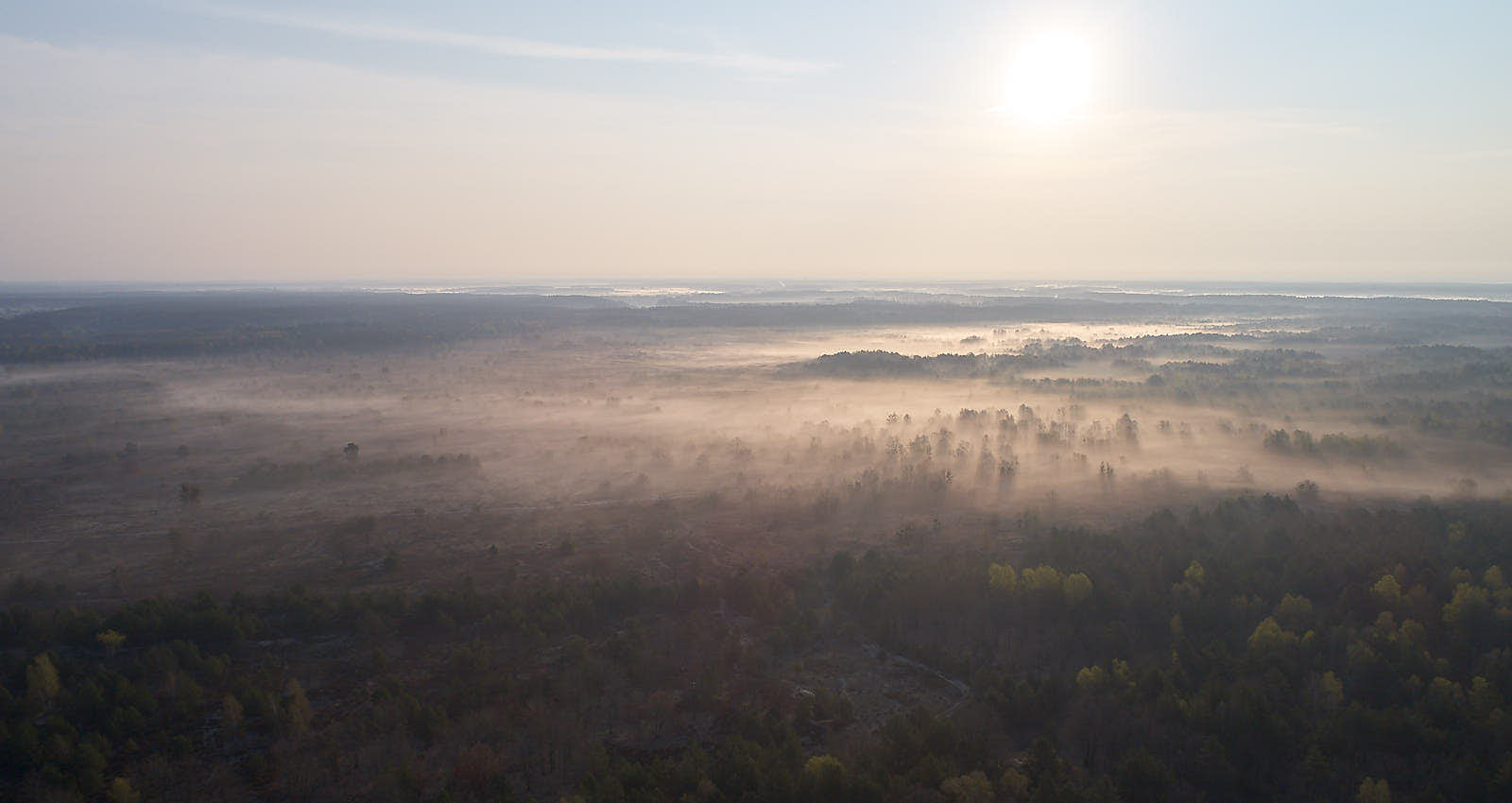 Morgenstimmung über der Schorfheide